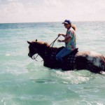 ocean horse