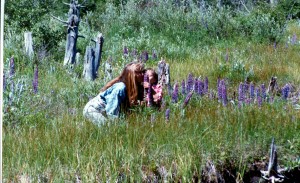 Chase & MA wildflowers