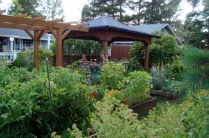 organic garden