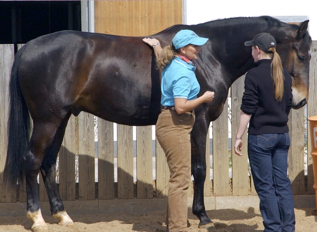 Mentoring Coaching - Mary Ann Simonds - Equine, Equestrian, & Nature 